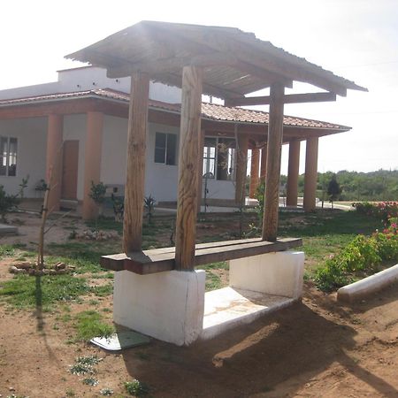 Little Nest En Rancho El Rossinyol Guest House Вале де Гуадалупе Екстериор снимка