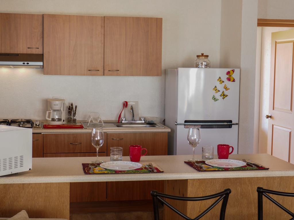 Little Nest En Rancho El Rossinyol Guest House Вале де Гуадалупе Екстериор снимка