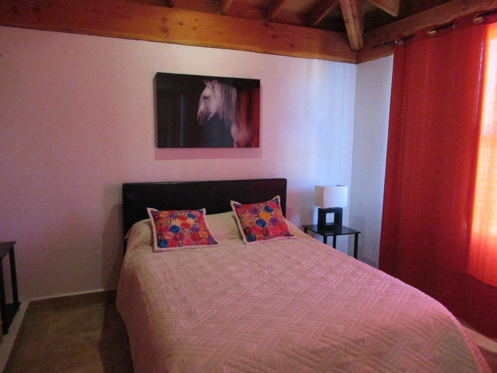 Little Nest En Rancho El Rossinyol Guest House Вале де Гуадалупе Екстериор снимка