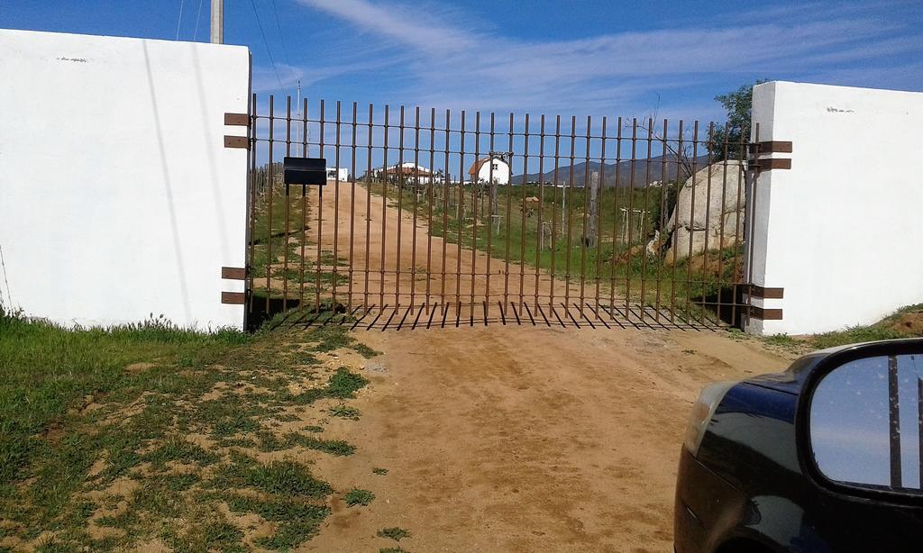 Little Nest En Rancho El Rossinyol Guest House Вале де Гуадалупе Екстериор снимка